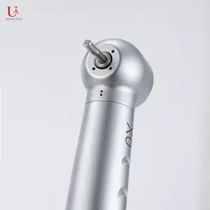 Fornitore personalizzato singolo spruzzo d'acqua ad alta velocità turbina ad aria fori 2/4 Handpiece dentale