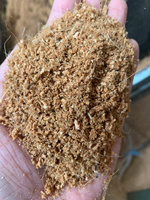 Pastilles de coco écologiques pour le démarrage des graines |   Tablettes de tourbe de coco compressée pour la culture de légumes, de plantes succulentes, de plantes de jardin et de pépinières