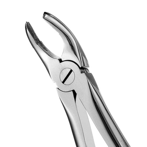 Pinzas de Extracción Dentales Quirúrgicas para Molares Superiores Dentados de 17 Pulgadas, Instrumento de Cirugía Oral de Acero Inoxidable - Product Image 5