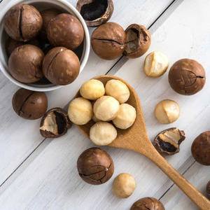 Nueces de Macadamia Tostadas Grandes y Medianas con Granos Gruesos y Voluminosos, un Bocado Satisfactor al Estilo de una Fruta Seca - Product Image 3