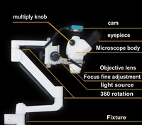 Microscope dentaire endodontique chinois avec caméra, équipements de thérapie buccale, accessoires, microscope chirurgical médical