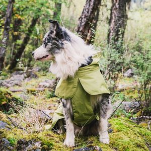 Gilet Sportivo Impermeabile e Caldo per Cani di Piccola Taglia, Verde, Taglia 5XL con Cordoncino Regolabile, Abbigliamento Comodo - Product Image 1