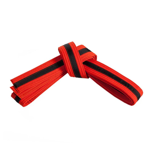 Ceintures d'arts martiaux personnalisées en coton, colorées, pour le karaté, le taekwondo, le judo, le jiu-jitsu, ceintures de rangement BJJ, accessoires d'entraînement de haute qualité - Product Image 3