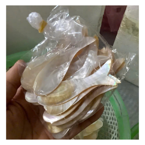 Cuillère en coquillage naturel de qualité supérieure avec finition en nacre véritable, couverts de luxe pour restaurants et hôtels haut de gamme - Product Image 5