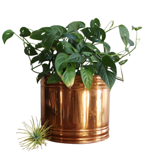 Pure Copper Flower Pot With Hammered Texture Rustic Style Desktop Planter For Indoor <b>Plants</b> Handmade Planter On Sale - Product Image 6