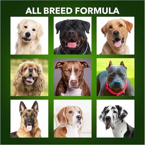 Fourniture directe en usine OEM ODM d'aliments secs et protéinés pour chiens végétaliens Nutrition complète et équilibrée pour tous les suppléments de soins de santé pour animaux de compagnie - Product Image 4