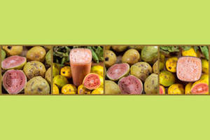 Jugo de Mango Indio de Primera Calidad, Nueva Temporada, 100% Puro y Natural, Bebida de Fruta Tropical en Botellas para Exportación a Granel, Venta al Por Mayor Internacional - Product Image 4