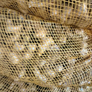 Jengibre Fresco Orgánico de Alta Calidad al Mejor Precio al por Mayor, Jengibre Fresco en Grandes Cantidades - Product Image 2