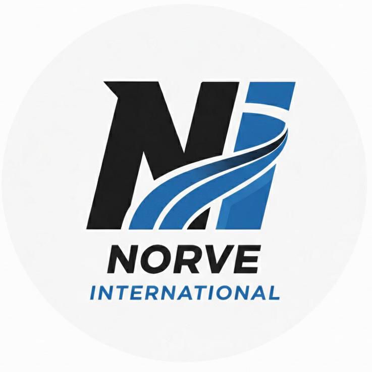 NORVE INTERNATIONAL logo
