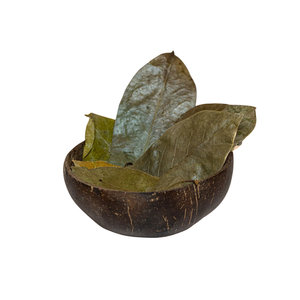 ใบฝรั่งแห้งคุณภาพสูงสำหรับบรรจุภัณฑ์ขายปลีก - Product Image 3