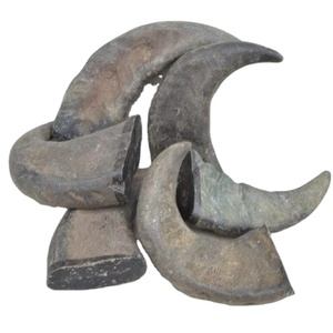 Venta al por mayor de buey de calidad cruda y cuerno de búfalo Punta de cuerno natural incluido - Product Image 1