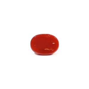 Natural Japanese Red Coral 3.11 Carat Oval Cut Loose Gemstone for Fine Jewelry - Product Image 2