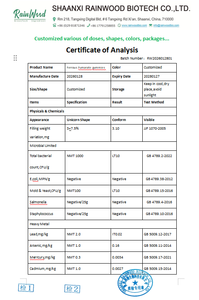 Gomitas de Fumarato Ferroso Rainwood Sin Azúcar, Sin Gluten, Sin OMG, Suplemento Diario de Hierro, Absorción Suave - Product Image 2