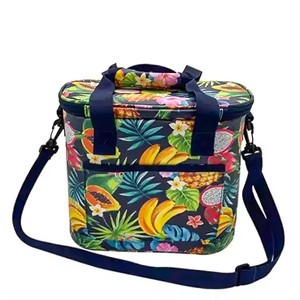 2026 Custom Printing Waterproof Food Storage Picnic Cooler Bag with Shoulder Strap Tarpaulin Insulated Cooler Bag - Product Image 1