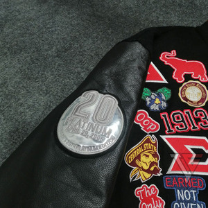 Chaqueta de Béisbol de Invierno Personalizada para Mujer, Abrigo Universitario de Lana con Patrón Bordado en Chenilla, Botones de Cuero Casuales, OEM - Product Image 5