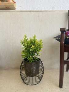 Fancy Black Metal Flower Pot With Circular Wire Design Indoor Plant Planter Modern Style Powder Coated Finish - Product Image 5