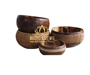 [DISPONIBLE] |   Bol en Coque de Noix de Coco Écologique, Finition Lisse, Vente en Gros, Réutilisable, pour Salades et Nouilles, Fabriqué au Vietnam - Product Image 1