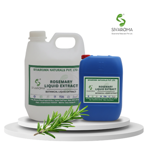 Extracto Líquido de Romero Premium para Formulaciones de Cuidado Personal, Creaciones de Fragancias, Fabricación Botánica y Suministro Global a Granel - Product Image 2