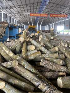 Chapa de Madera de Caucho Natural 100% Natural, Corte Rotatorio, 1270x640mm, Duradera y Ecológica para Construcción de Madera Contrachapada - Product Image 3