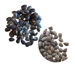 Semillas de Maracuyá a Granel, Precio Económico, Ingrediente Alimentario - Product Image 1