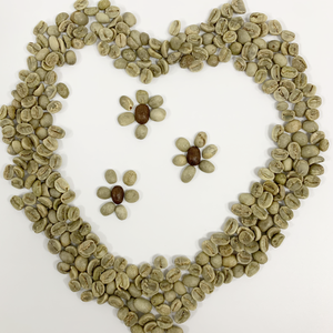 Grains de café vert Arabica du Vietnam de haute qualité dernière offre directe de ferme de culture meilleure pour les fournisseurs en gros et OEM - Product Image 4