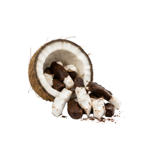 Vietnam Soft Dried Coconut Covered with <b>Chocolate</b> Healthy Tropical Snack Wholesale - Product Image 5