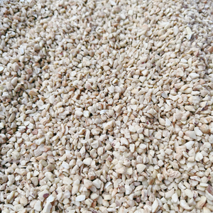 Listo para enviar: Nueces de cachew partidas SANTIGO Kaju Badam, sin impuestos, granos de cachew rotos - Product Image 2