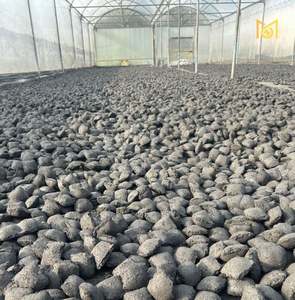 Carbón Vegetal de Coco en Forma de Almohada de Grado Exportación, Briquetas a Granel para Barbacoa, Combustible, Fabricante de Carbón Negro 55-75% Carbono Fijo - Product Image 4