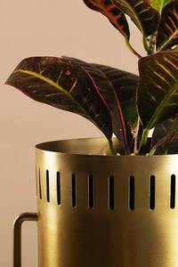 Macetero minimalista de hierro con soporte, acabado dorado, macetero alto para interiores, macetero de hierro para exportación mundial desde India. - Product Image 4