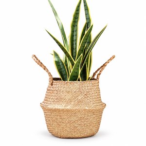 Panier de rangement multifonction pliable éco-responsable fait main toutes saisons en jonc de mer du Vietnam pour salle de bain et chaussures, vente en gros - Product Image 1