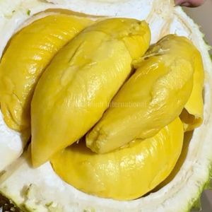 Durian Fresco de Calidad de Exportación |   Proveedor Vietnamita de Sabor Dulce Premium - Product Image 4