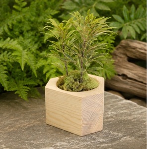 Maceta Pequeña de Madera Vintage para Suculentas, Macetero de Madera Natural para Escritorio, Soporte Geométrico Creativo para Flores, en Oferta - Product Image 4