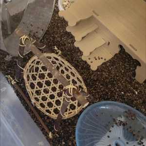 ตะกร้าไม้ไผ่สานมือ ที่หลบซ่อนสำหรับสัตว์เลี้ยงขนาดเล็ก รังนก รังแฮมสเตอร์ กล่องเก็บของธรรมชาติ เป็นมิตรกับสิ่งแวดล้อม ของเล่นในกรง  ผู้จำหน่าย - Product Image 3