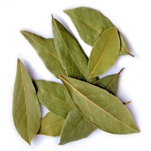 Feuilles de Laurier de Qualité Supérieure en Gros, Prêtes à l'Expédition, Qualité Alimentaire, Exportation Mondiale - Product Image 3