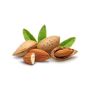Almendras de California de alta calidad con cáscara, con precios al por mayor directos de fábrica - Product Image 2