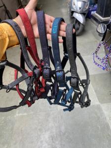 Cabestro de Nailon Resistente y Práctico para Caballos, PRODUCTOS DE CALIDAD para Trabajo Agrícola y Entrenamiento, Diseño Transpirable, Cómodo y de Alta Calidad - Product Image 5