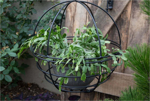 Newest Fancy Wrought Iron Hanging Wire <b>Plant</b> <b>Basket</b> Outdoor Window Decor <b>Plants</b> Flowers Pot Garden Home Yard Made in India 2023 - Product Image 4