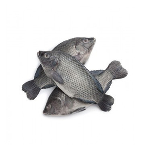 Tilapia Congelada a Bajo Precio, Empacada para Requisitos de Servicio de Alimentos Comercial - Product Image 1
