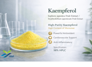 Hgo สารสกัดจากผลไม้โซโฟราจาโปนิกา/สารสกัดจากผลไม้ (เกรดอาหาร) ดินขาว50%-98% - Product Image 5