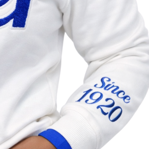 Sudadera Personalizada de la Hermandad Griega Zeta Phi Beta Z Phi B con Letras, Ribete Blanco, Cuello Redondo, Informal, para Invierno, Mezcla de Algodón, Forrada - Product Image 4