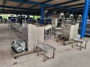 AUTO VACUUM PACKING LINE high quality made in Vietnam factory with competitive price in 2023 - Product Image 4