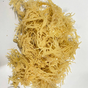 La mejor calidad-Musgo marino seco-Oro crudo, Musgo marino púrpura-100% Musgo marino irlandés de Vietnam / Lima - Product Image 1
