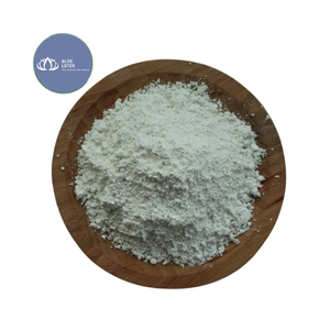 แป้งมันสำปะหลังออร์แกนิคเกรดอาหารขายดี แป้งมันสำปะหลังแท้ ขายส่ง - Product Image 1