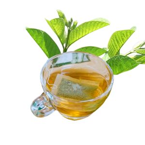 Oferta B2B: Polvo de Hoja de Guayaba (Psidium) Seca Cruda, Caja de Cartón de 30 kg, Comercio Directo, Fabricante de Vietnam, Suministro a Granel - Product Image 6