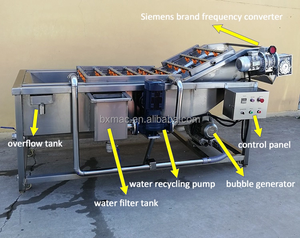 เครื่องซักผ้าสตรอเบอร์รี่แบบฟองสแตนเลสขนาดเล็กแบบอัตโนมัติสำหรับผักผลไม้พริกแอปเปิ้ล - Product Image 4