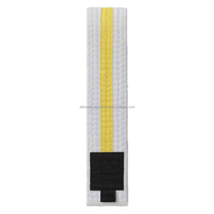 Alta calidad Unisex algodón Judo Karate Bjj Taekwondo cinturones logotipo personalizado impresión para Kung Fu artes marciales clasificación - Product Image 1