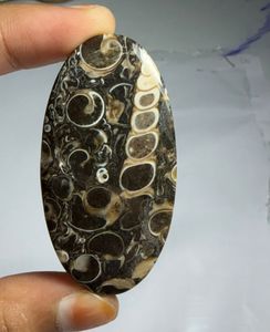 Lote al por mayor de cabujones de ágata TURRITELLA por peso con diferentes formas y tamaños utilizados para la fabricación de joyas, piedra TURRITELLA - Product Image 1