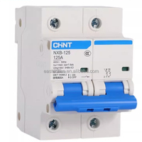 Nuevo Interruptor Automático Miniatura (MCB) Tipo PLC con Garantía de Un Año, CHINT NXB-125 2P 125A Curva B/C/D 380V/220V para Automatización Industrial