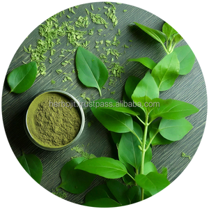 Extracto de Hoja de Gymnema Sylvestre Puro en Polvo, Suplemento Herbal Natural para el Control del Azúcar, Apoyo al Bienestar, Apoyo Inmunológico, Adultos - Product Image 6