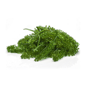 Alga Marina Picada Fresca, Caviar Verde, 10-20cm, Rica en Humedad, Envasada, 0.1-0.5kg, Almacenamiento Refrigerado, 7 Días de Vida Útil - Product Image 1